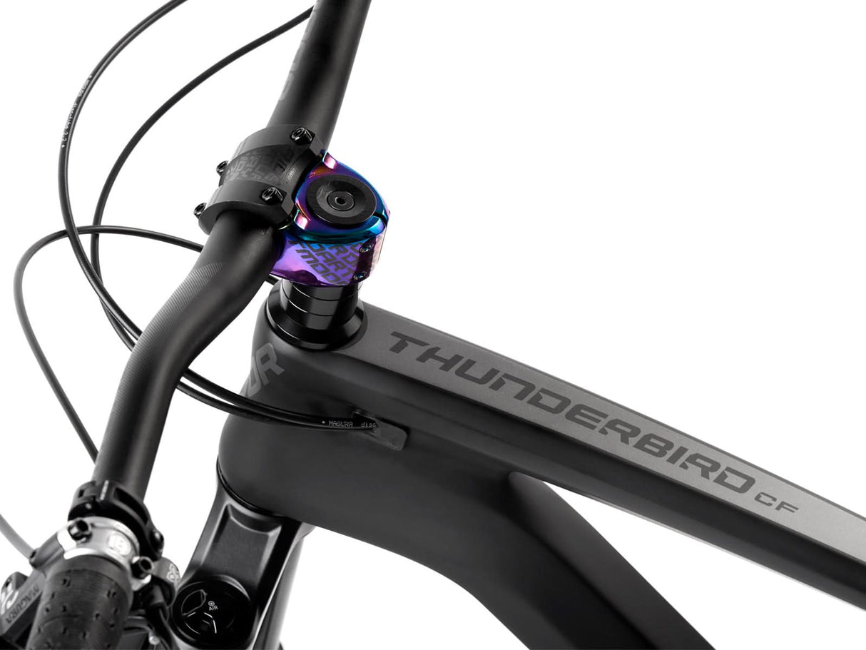 Enduro bike Dartmoor Thunderbird CF Evo | RideHub