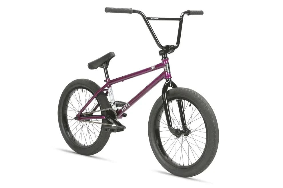 Dana Transparent Purple