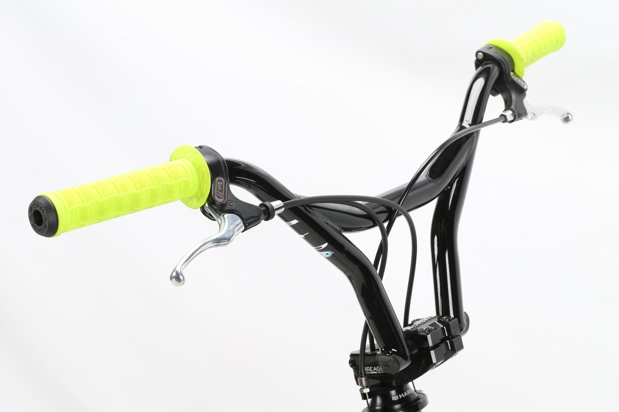 LINEAGE SPORT BASHGUARD 26 2023