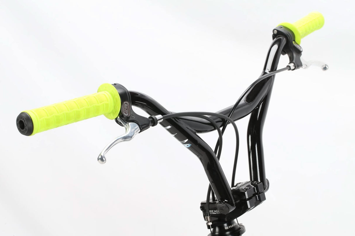 LINEAGE SPORT BASHGUARD 26 2023