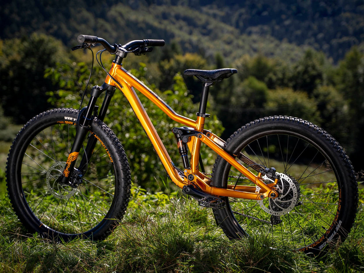 Dartmoor Rocbird Junior S frame | RideHub