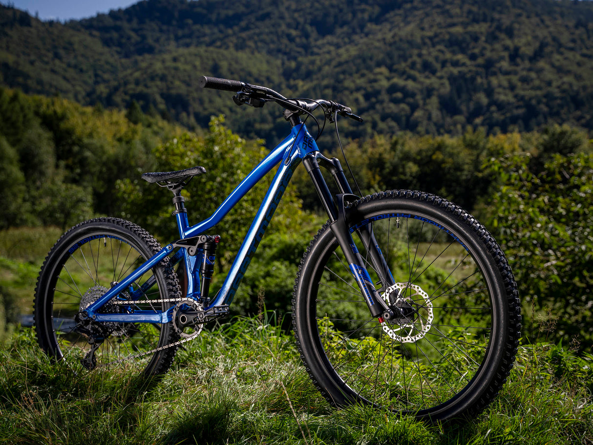 Dartmoor Rocbird Junior M frame | RideHub