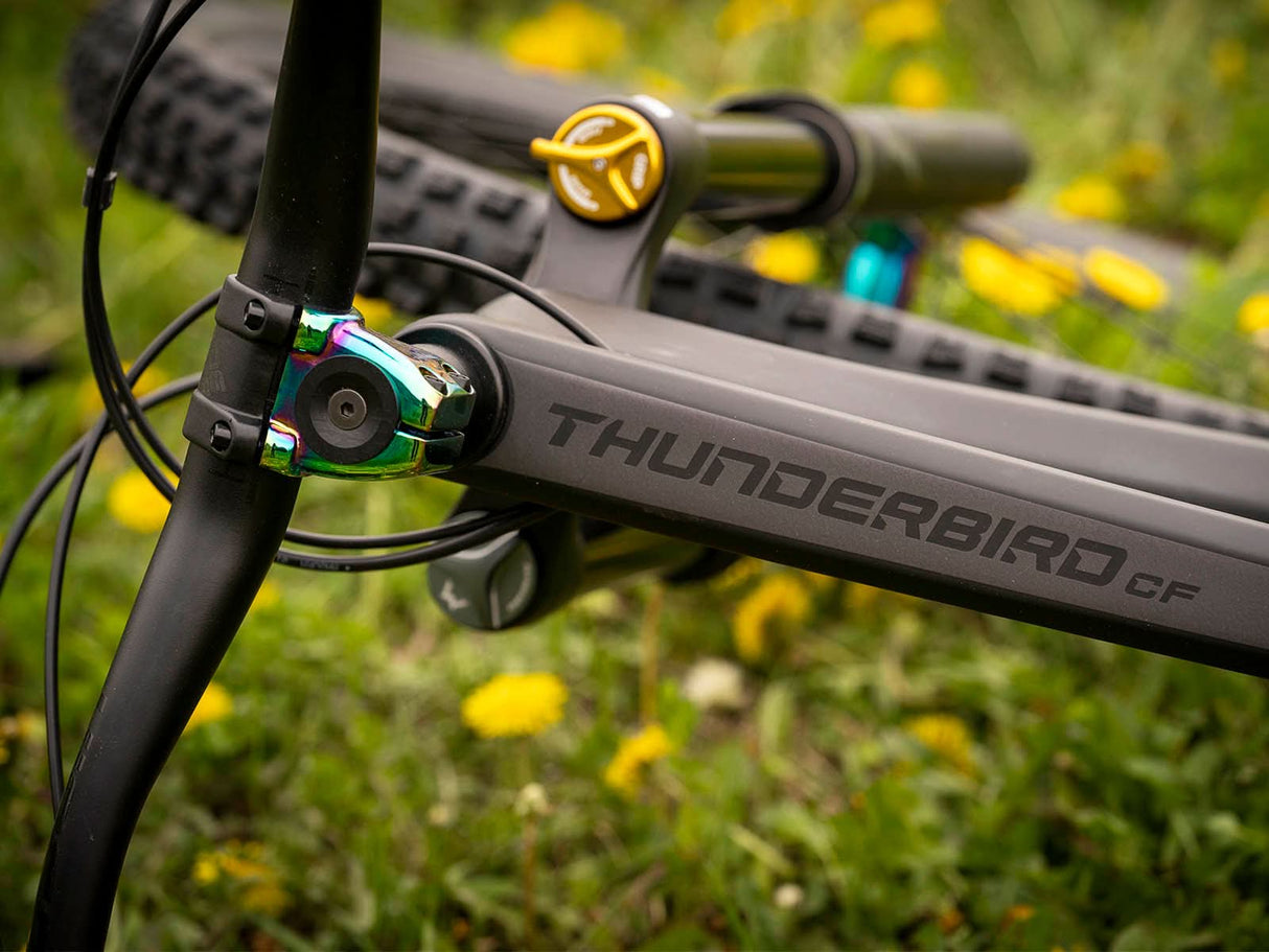 Enduro bike Dartmoor Thunderbird CF Evo | RideHub