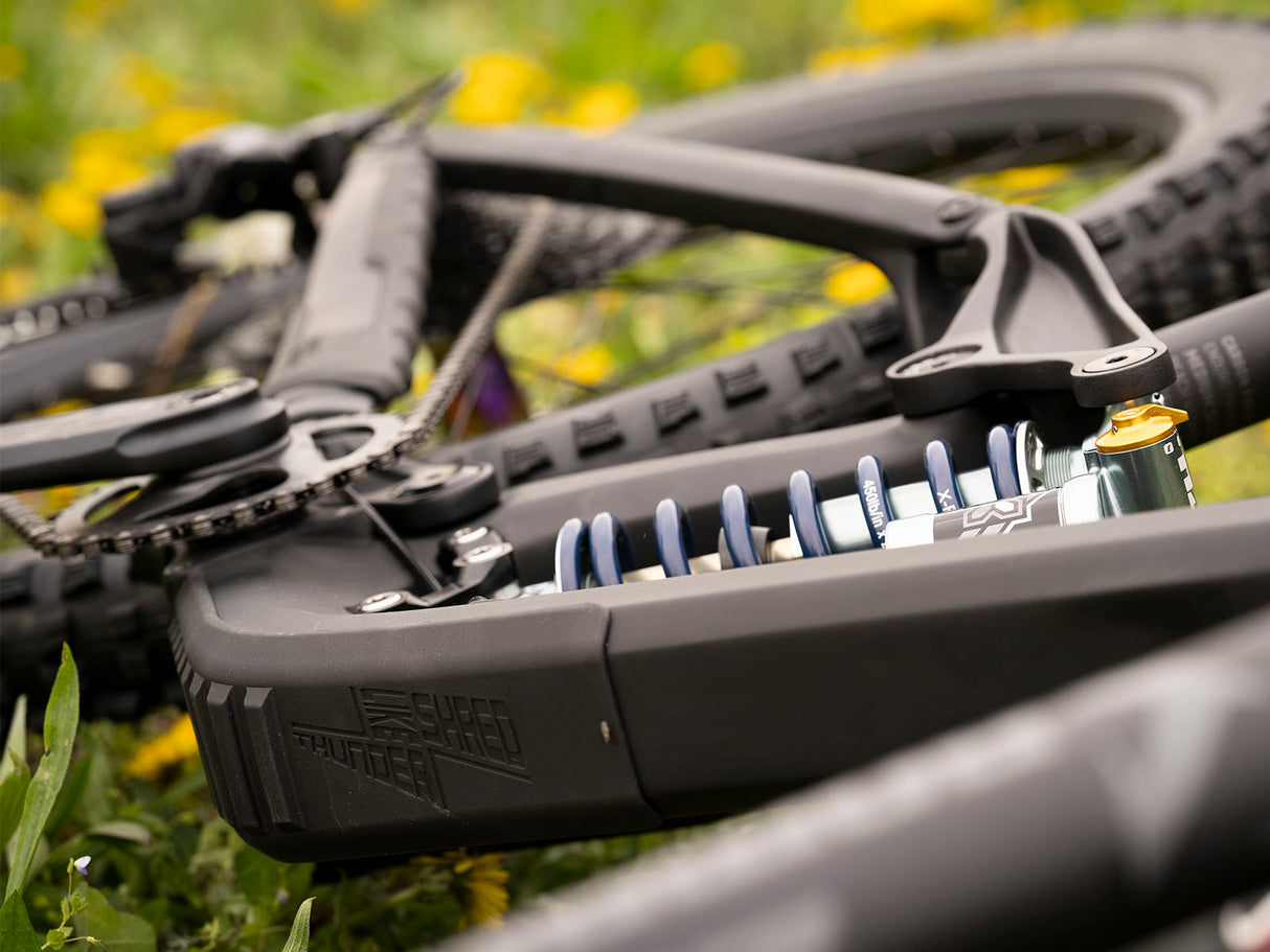 Enduro bike Dartmoor Thunderbird CF Evo | RideHub