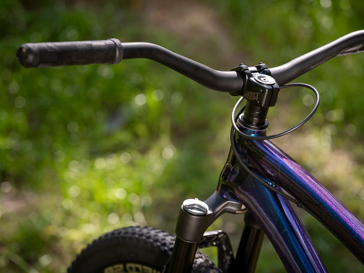 Dirt Jump Bike Dartmoor Two6Player Pro Cosmic | RideHub