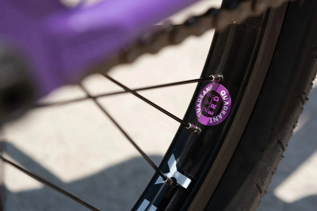Sunday Street Sweeper BMX Bike | RideHub