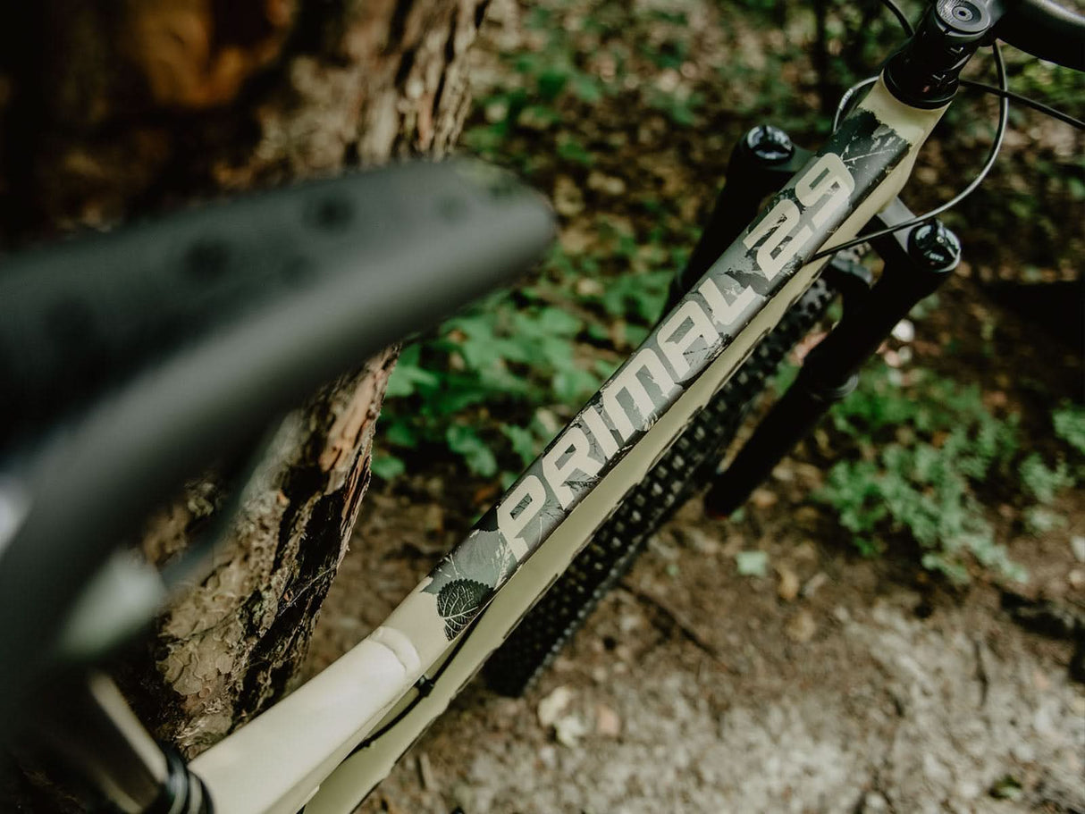 Dartmoor Primal 29" frame | RideHub