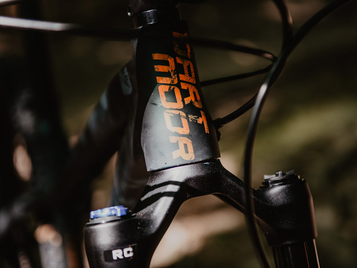 Dartmoor Primal 29" frame | RideHub