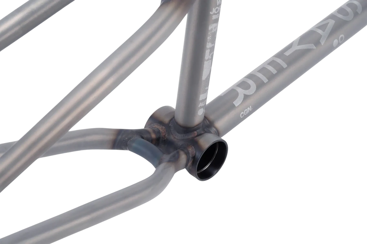 Wethepeople Doomsayer Jordan Godwin Signature BMX Frame | RideHub