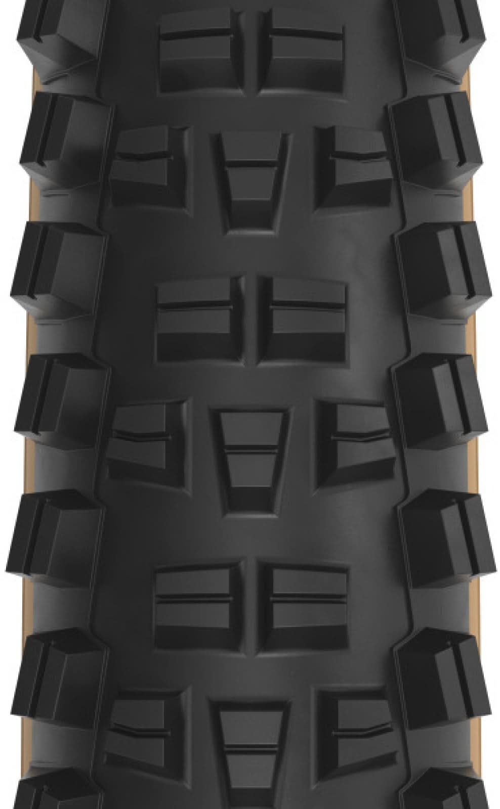Trail Boss 2.25 x 29 inch 60tpi Dual DNA SG2 / TCS Light FR black-tan