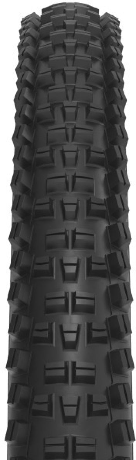 Trail Boss 2.25 x 29 inch 60tpi Dual DNA SG2 / TCS Light FR black-tan