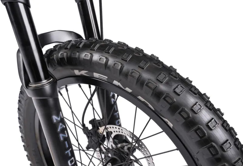 WeThePeople Swamp Master Full Suspension BMX Bike | RideHub