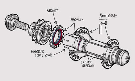Kaseta czy freecoaster BMX - co wybrać?