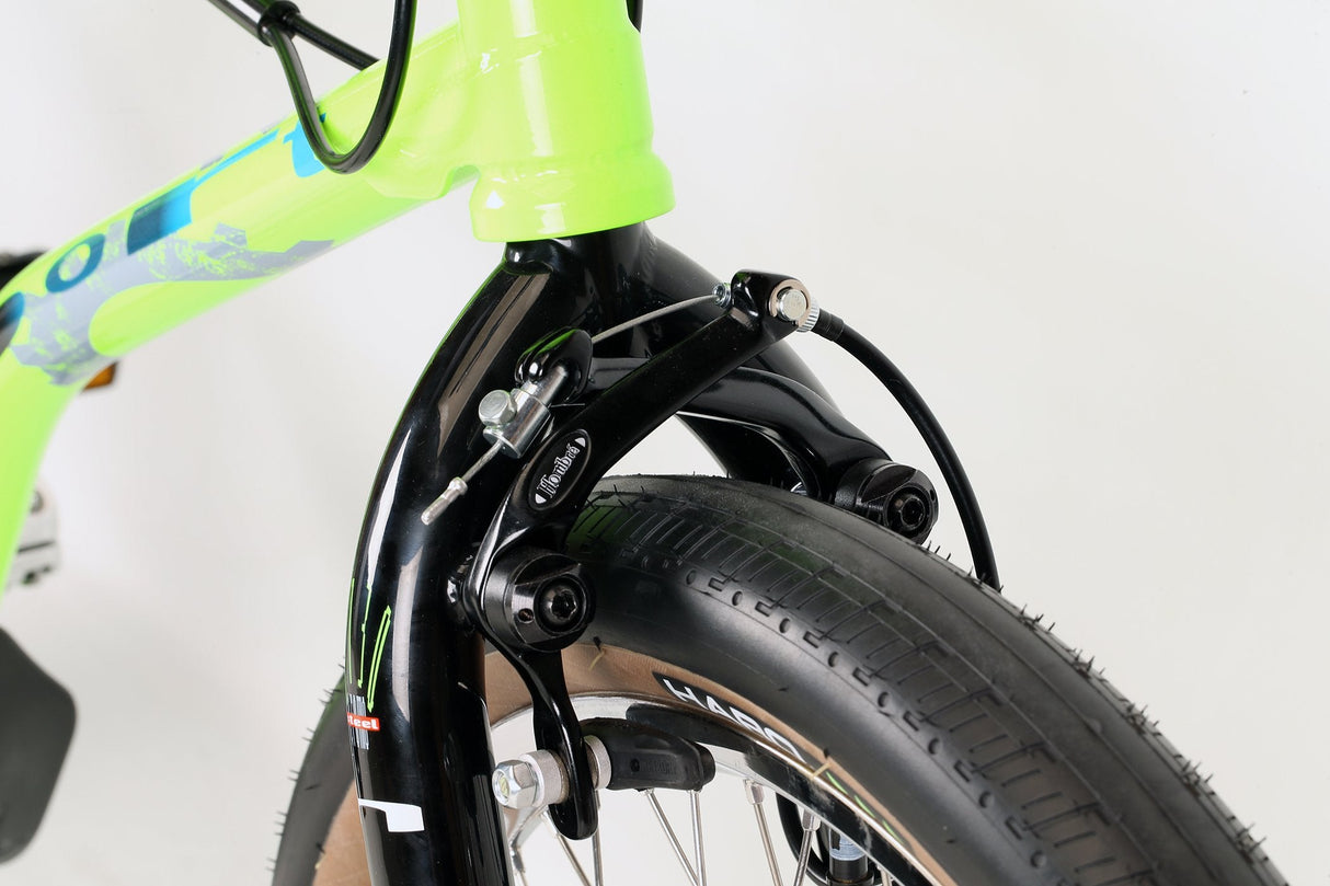 LINEAGE SPORT BASHGUARD