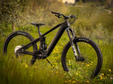 E-Enduro Dartmoor E-Thunderbird CF | RideHub