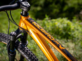 Dartmoor Rocbird Junior S frame | RideHub