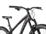Dartmoor Hornet 29"/27.5" MTB Bike Black/Matte Graphite | RideHub