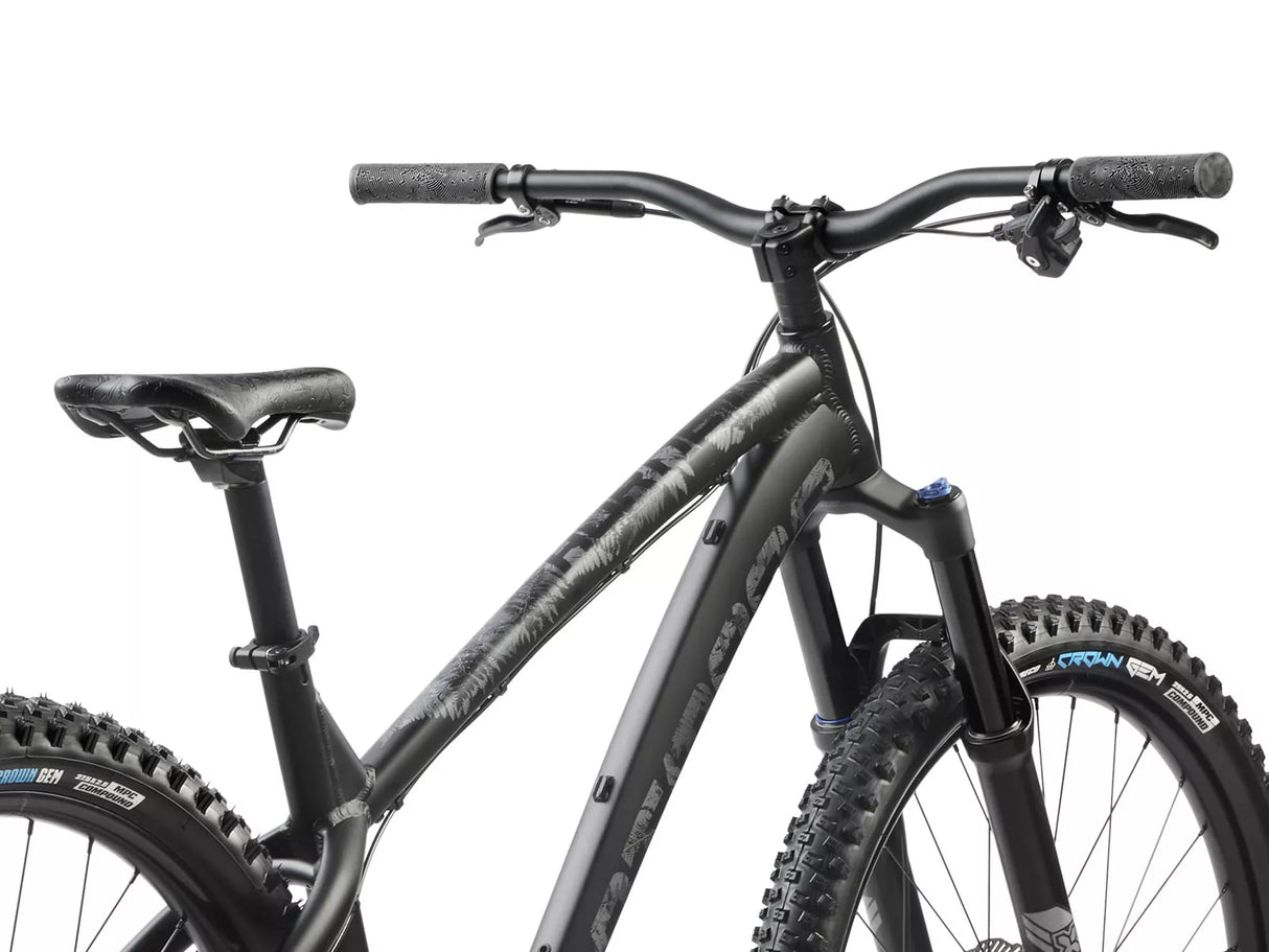 Dartmoor Hornet 29"/27.5" MTB Bike Black/Matte Graphite | RideHub