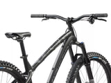 Dartmoor Hornet 29"/27.5" MTB Bike Black/Matte Graphite | RideHub