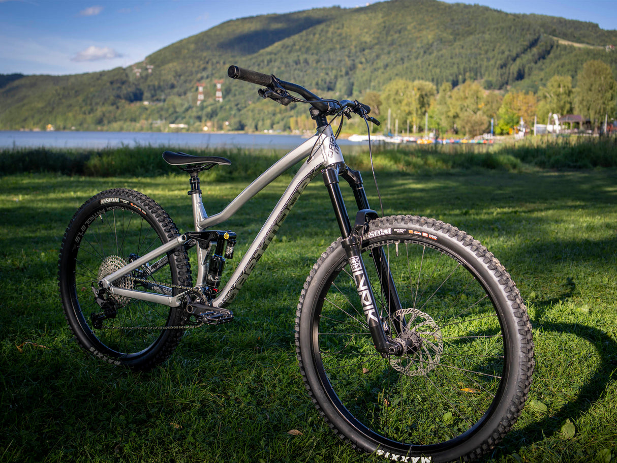 Enduro bike Dartmoor Rocbird Enduro Evo | RideHub