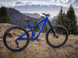 Enduro Dartmoor Thunderbird CF Pro | RideHub