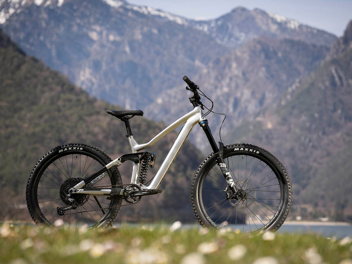 Dartmoor Thunderbird FR Pro Freeride Bike | RideHub