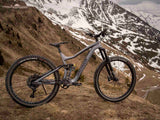 Dartmoor Thunderbird Superenduro Evo Freeride Bike | RideHub