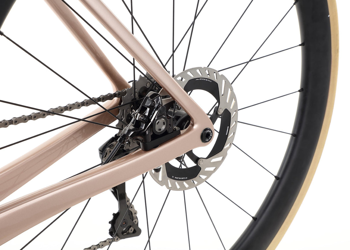 Rivette Carbon Top Shelf – Carbon Fiber Racing Machine | Ride Hub