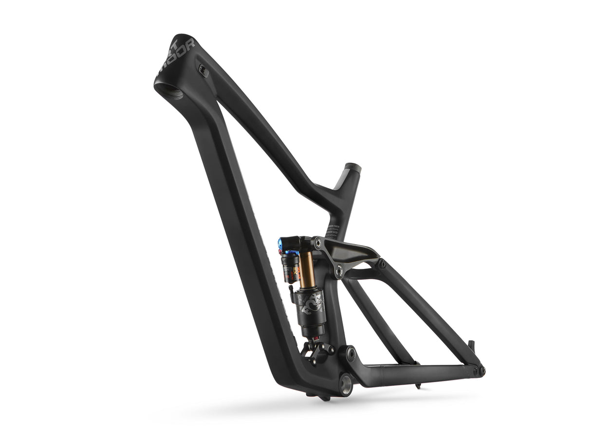 Dartmoor Thunderbird CF Frame | RideHub