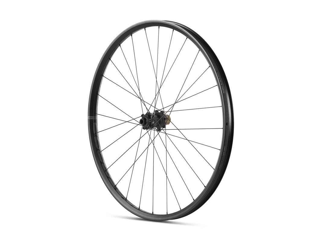 Dartmoor Thunder 29 Alu Expert Wheels | RideHub