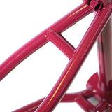 Alive Industry FTW BMX Frame | RideHub