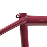 Alive Industry FTW BMX Frame | RideHub