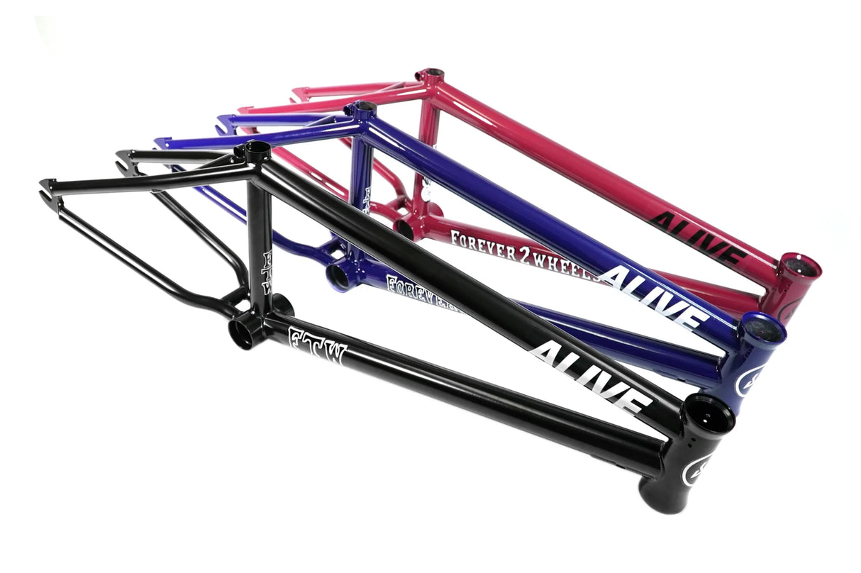 Alive Industry FTW BMX Frame | RideHub