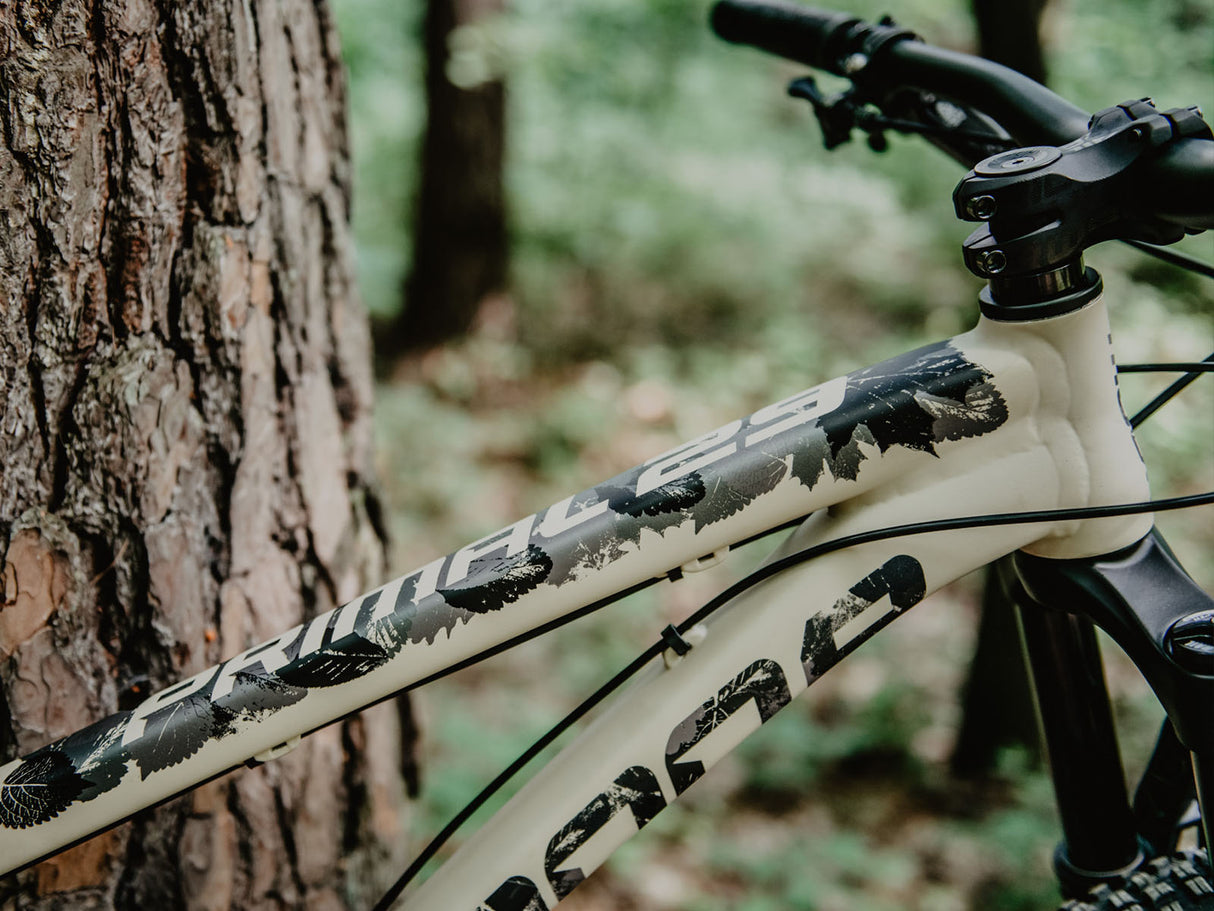 Dartmoor Primal 29" frame | RideHub