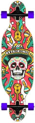 Hydroponic DT Kids Longboard | RideHub