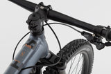 NS Bikes Eccentric Lite XCR 29" trail bike | RideHub