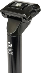 BMX Salt AM Seat Post 25.4mm (Pivotal &amp; Railed) | RideHub