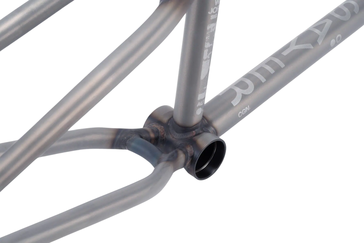 Wethepeople Doomsayer Jordan Godwin Signature BMX Frame | RideHub