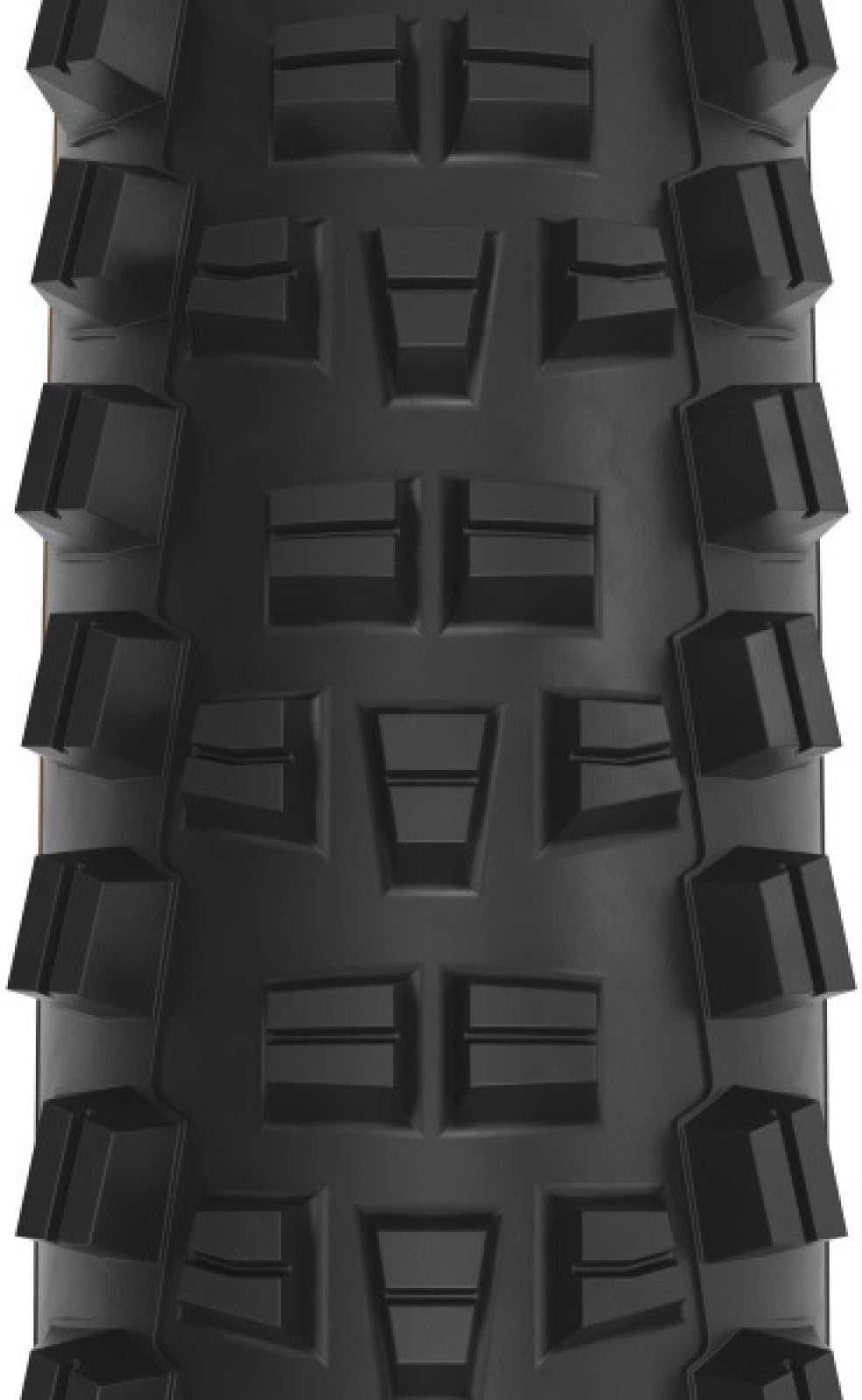 Trail Boss 2.25 x 29 inch 60tpi Dual DNA SG2 / TCS Light FR black-tan