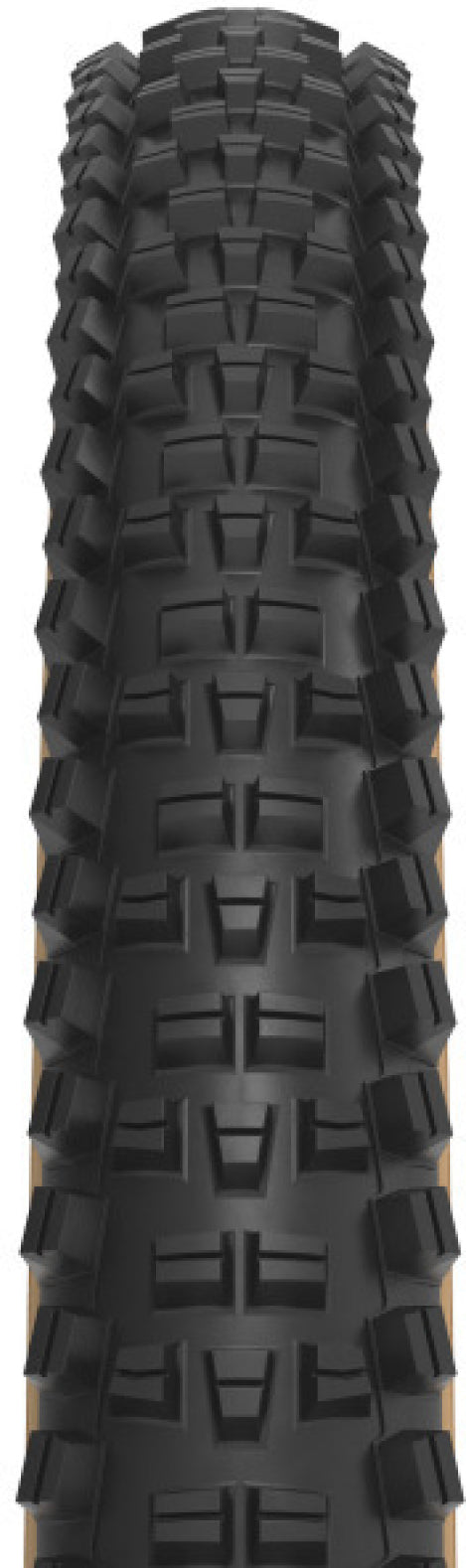 Trail Boss 2.25 x 29 inch 60tpi Dual DNA SG2 / TCS Light FR black-tan