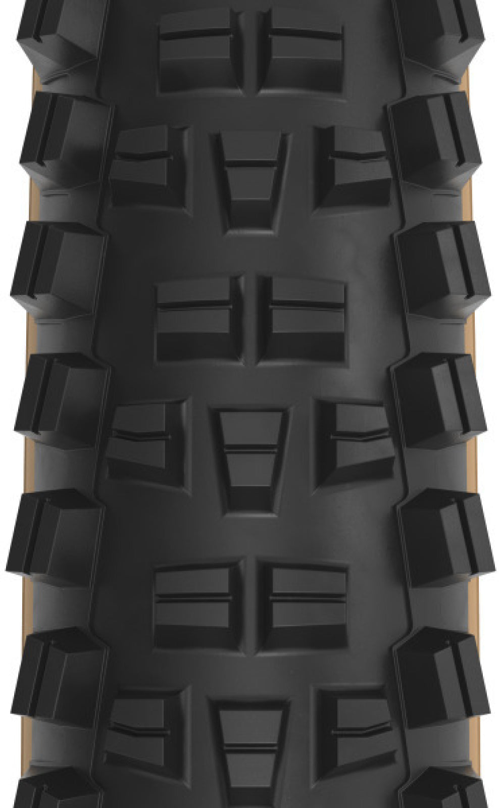 Trail Boss 2.25 x 29 inch 60tpi Dual DNA SG2 / TCS Light FR black-tan